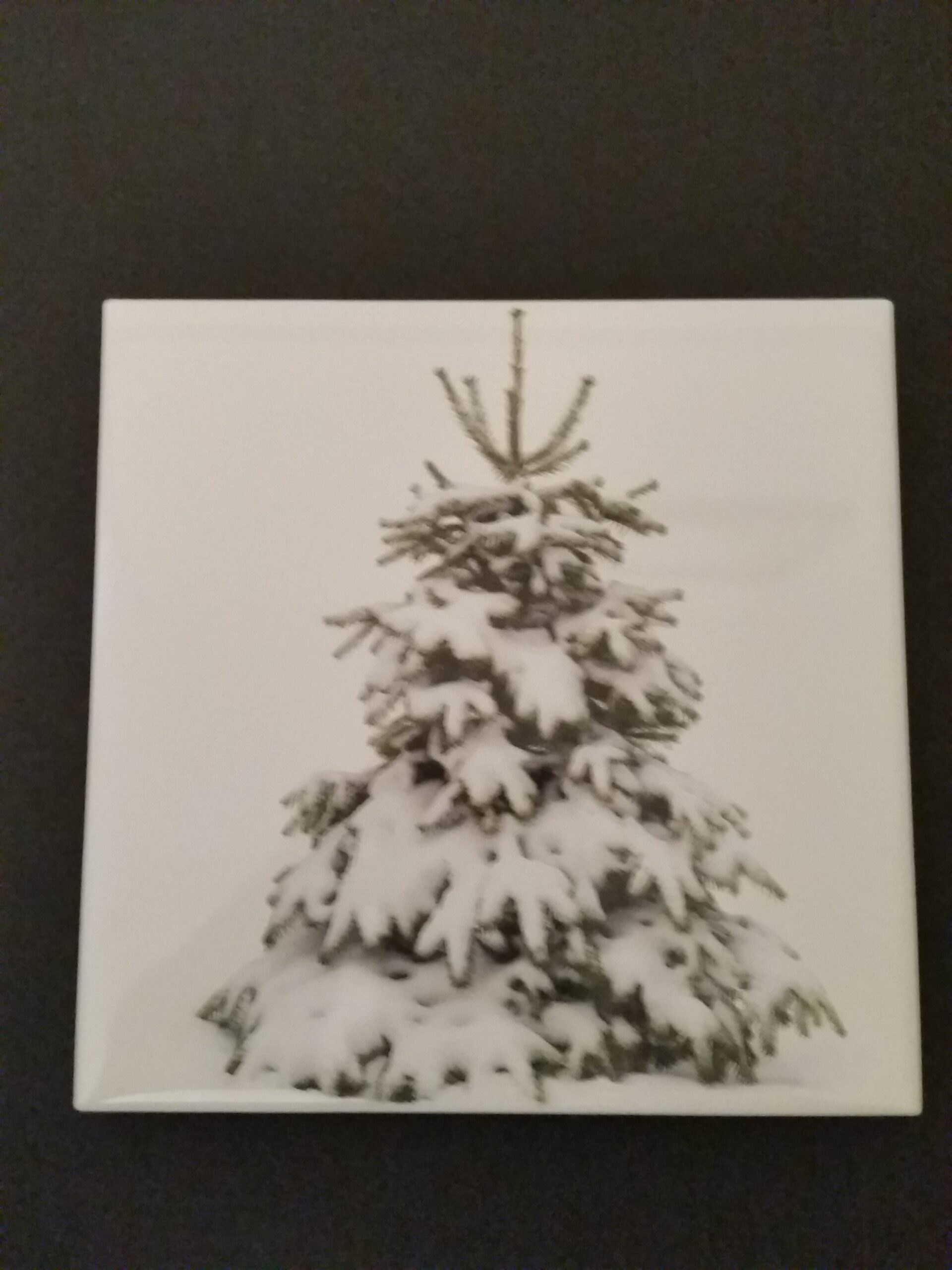 Custom printed 6 x 6 porcelain accent tile with snowy evergreen tree